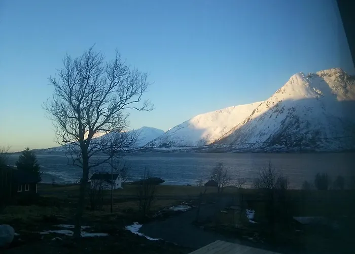 Moderne Hébergement de vacances Laupstad