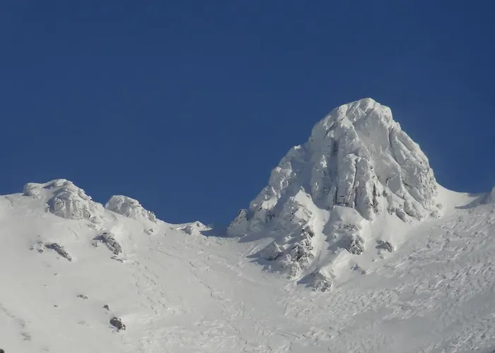 Hébergement de vacances Moderne