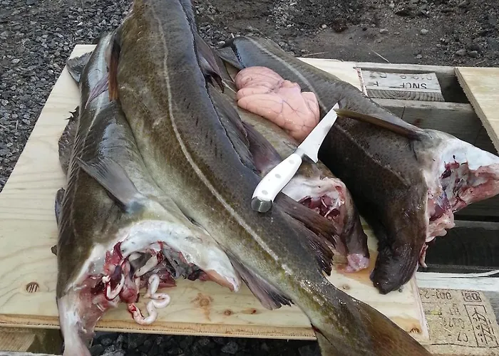 Hébergement de vacances Moderne