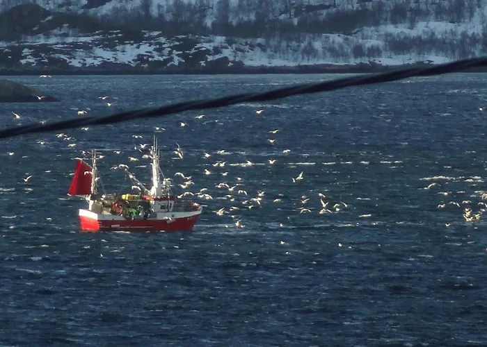 Hébergement de vacances Moderne Laupstad